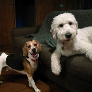 Meet your Posher, Amy